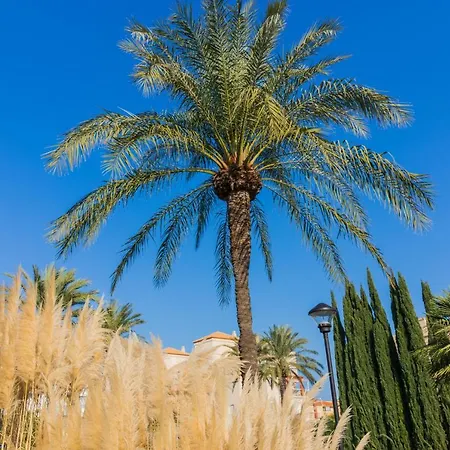 Apartment Cala Blanca Beach Studio Denia